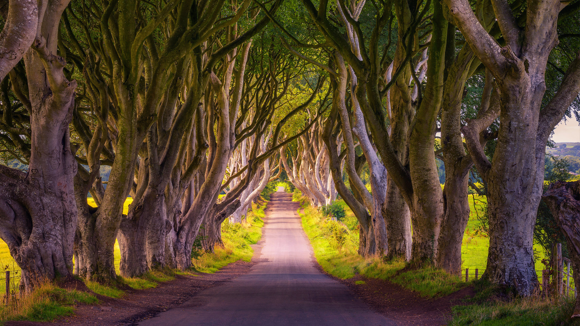Discover the Top Hidden Beauty Spots in the UK