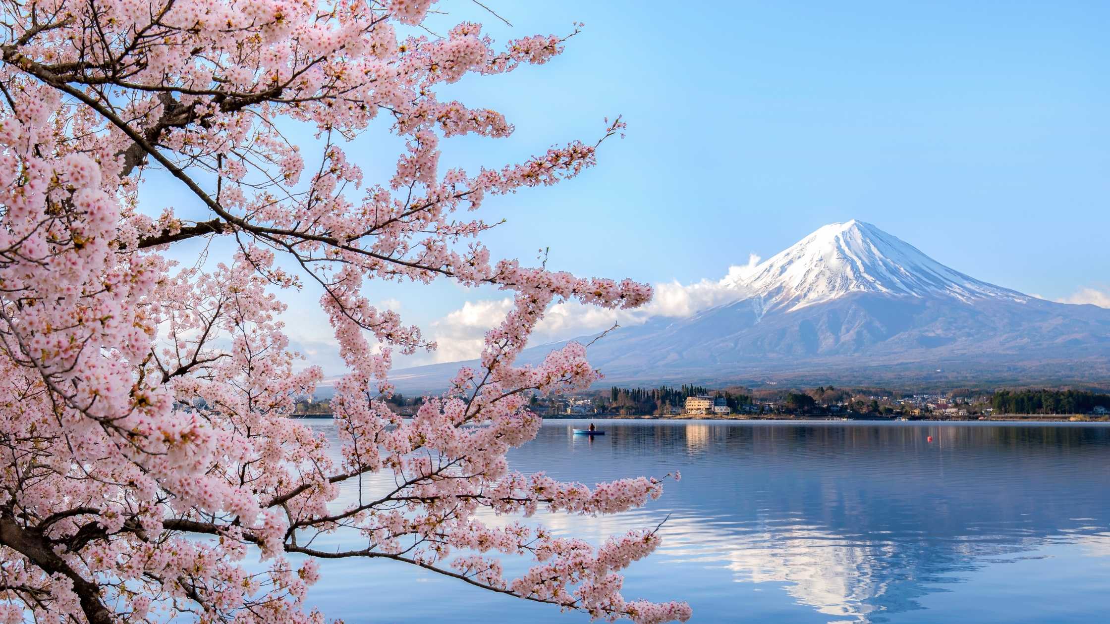 Top Destinations for Your Spring 2025 Getaway