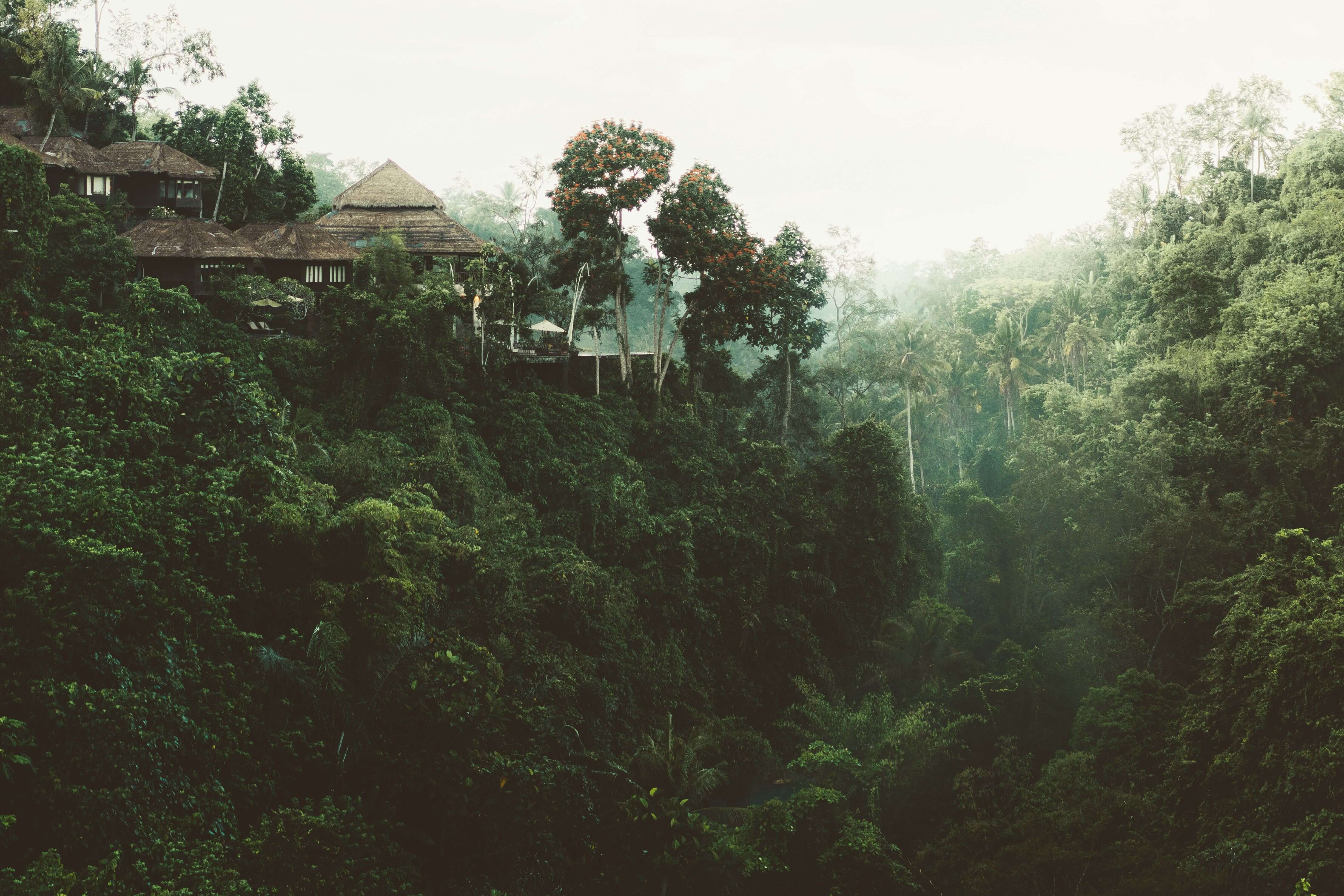 5 Jaw Dropping Airbnb Treehouses You Can Actually Stay In
