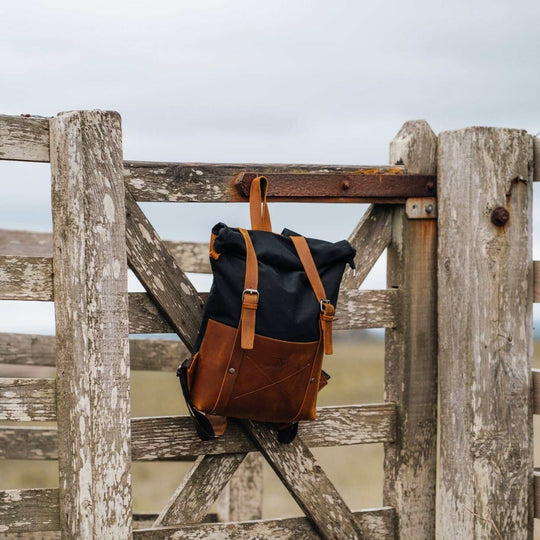 Witham black and tan backpack on a gate in a field#colour_black